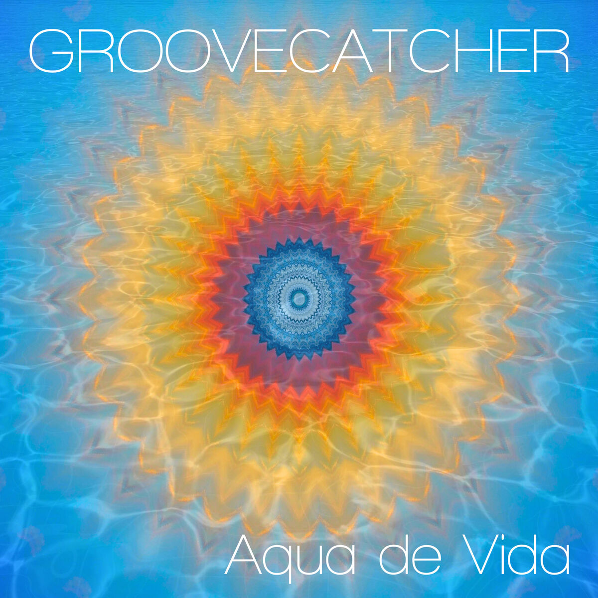 Groovecatcher