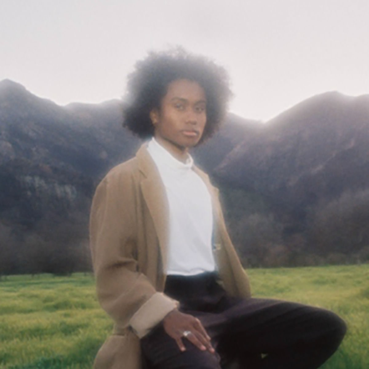 Artist picture of Jelani Aryeh