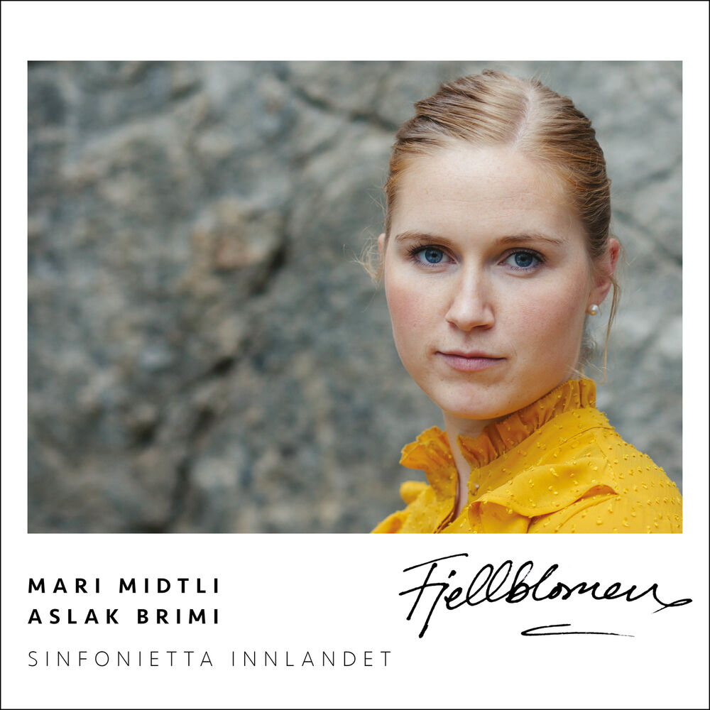 Picture of Sinfonietta Innlandet
