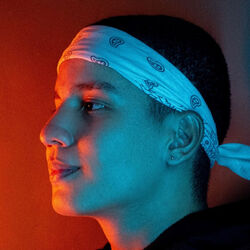 Picture of Dezko
