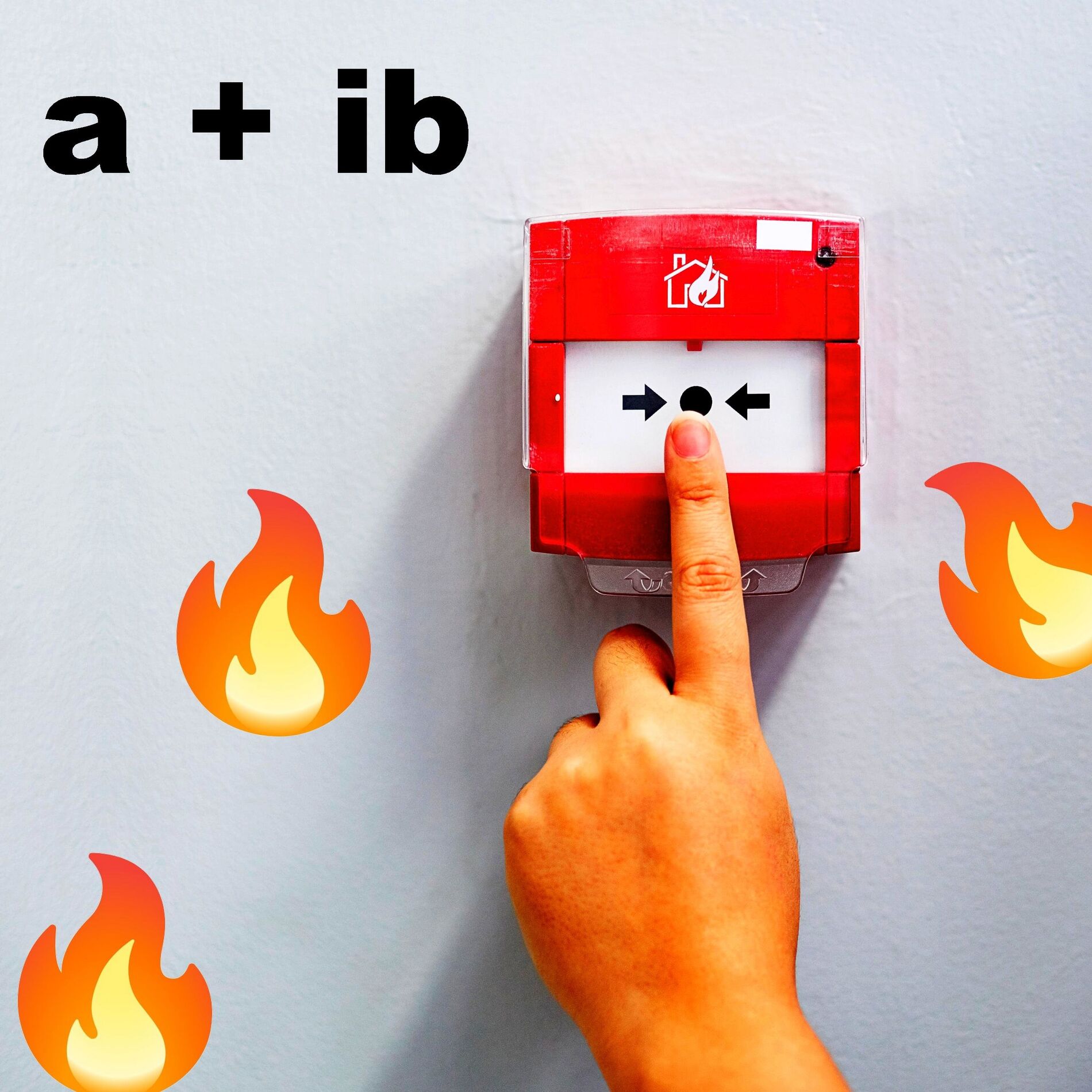 HBeatsK9