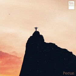 Picture of Pecun