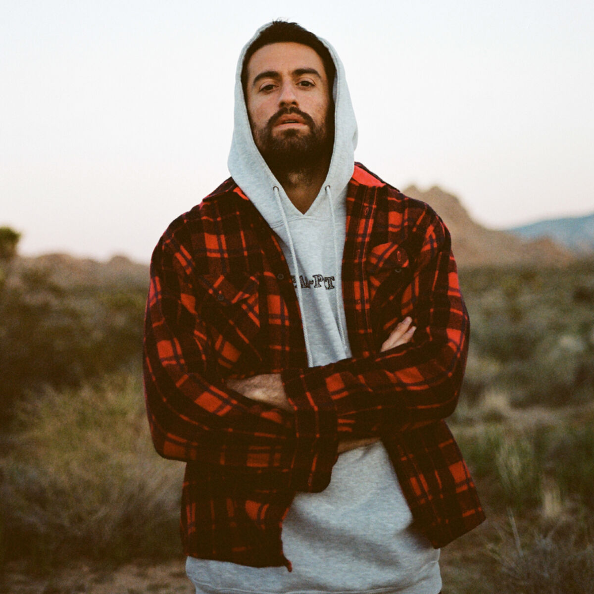 Artist picture of Dotan