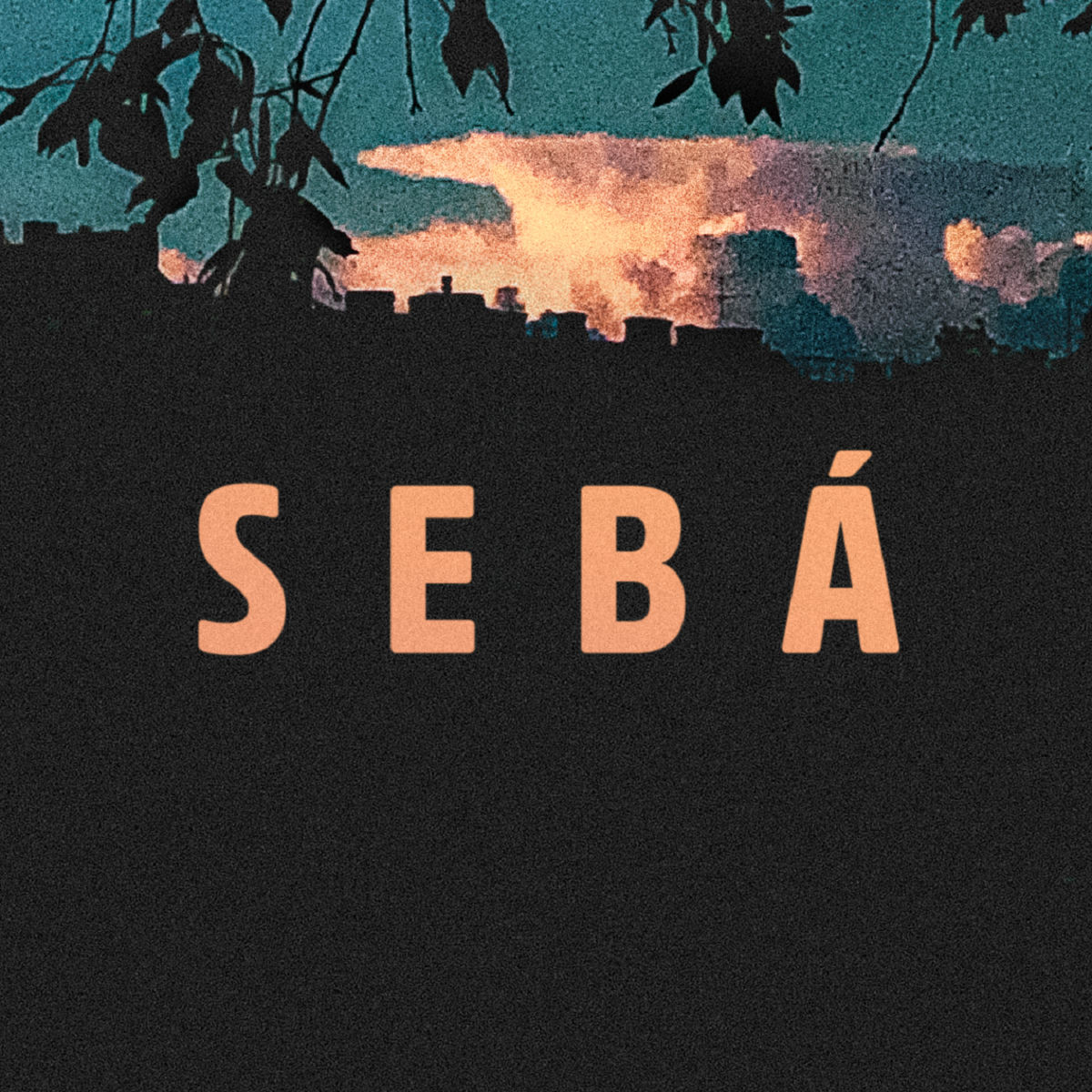 Artist picture of Seba