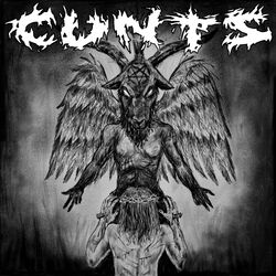 Picture of CNTS