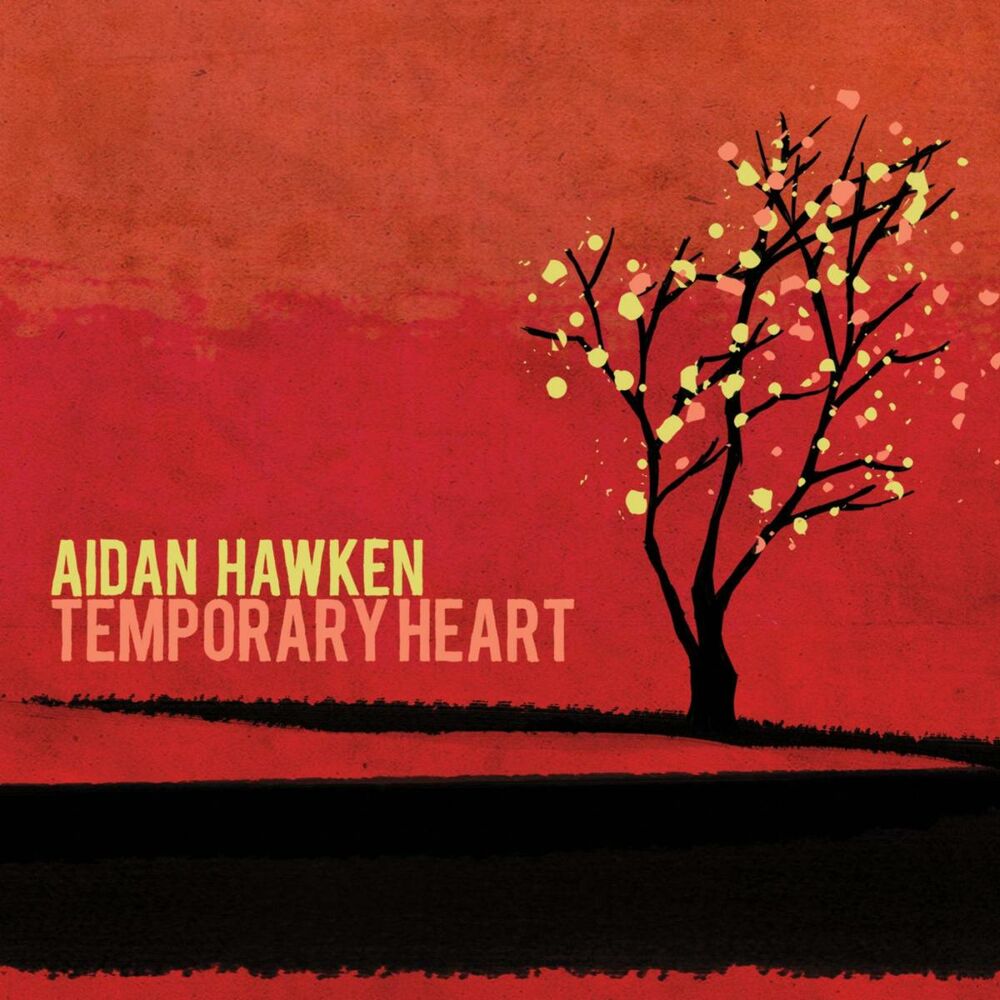 Picture of Aidan Hawken