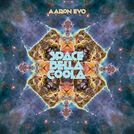 Aaron Evo