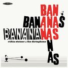 RUBIN STEINER & THE DICTAPHONE