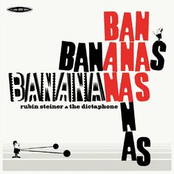 Picture of RUBIN STEINER & THE DICTAPHONE
