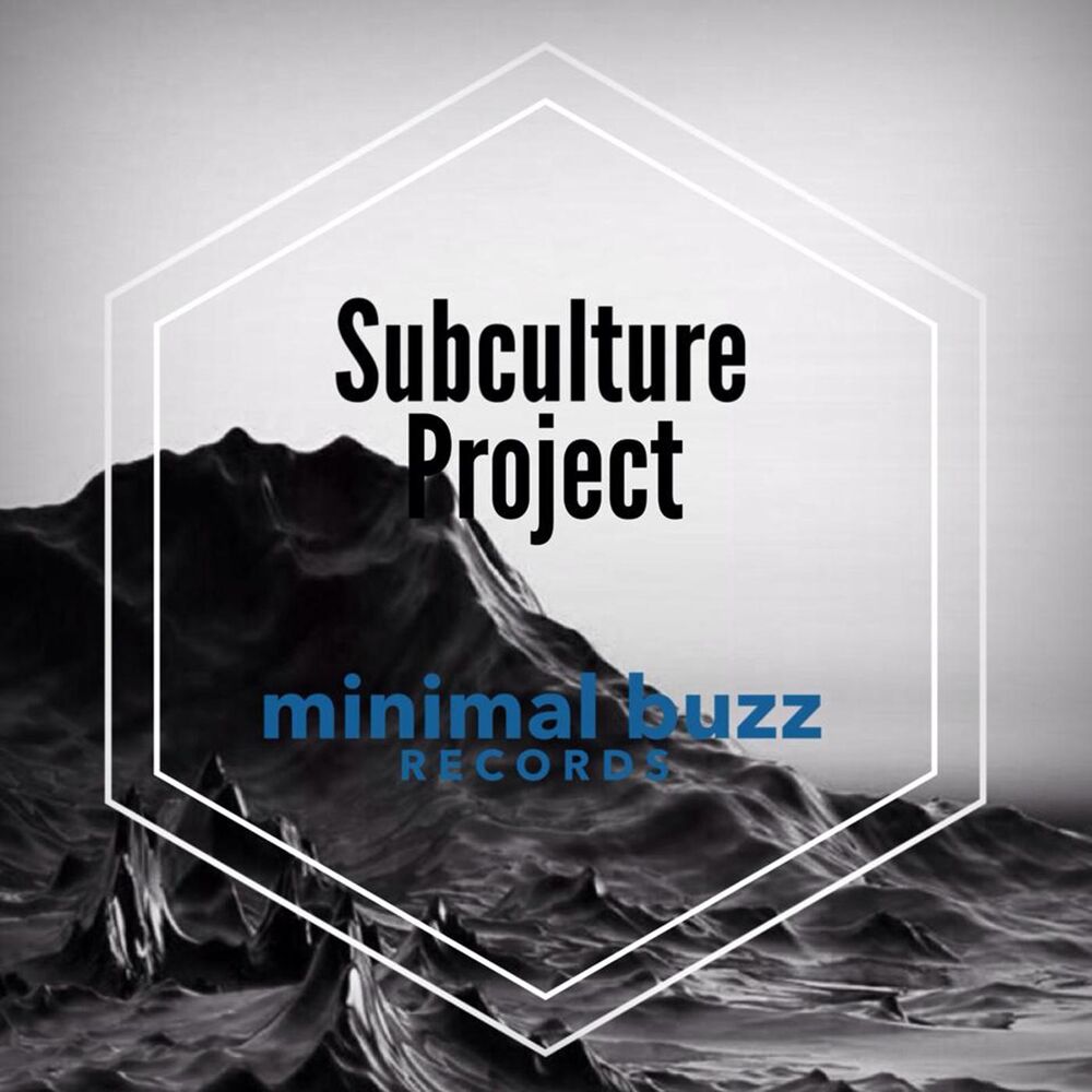 Picture of Subculture Project