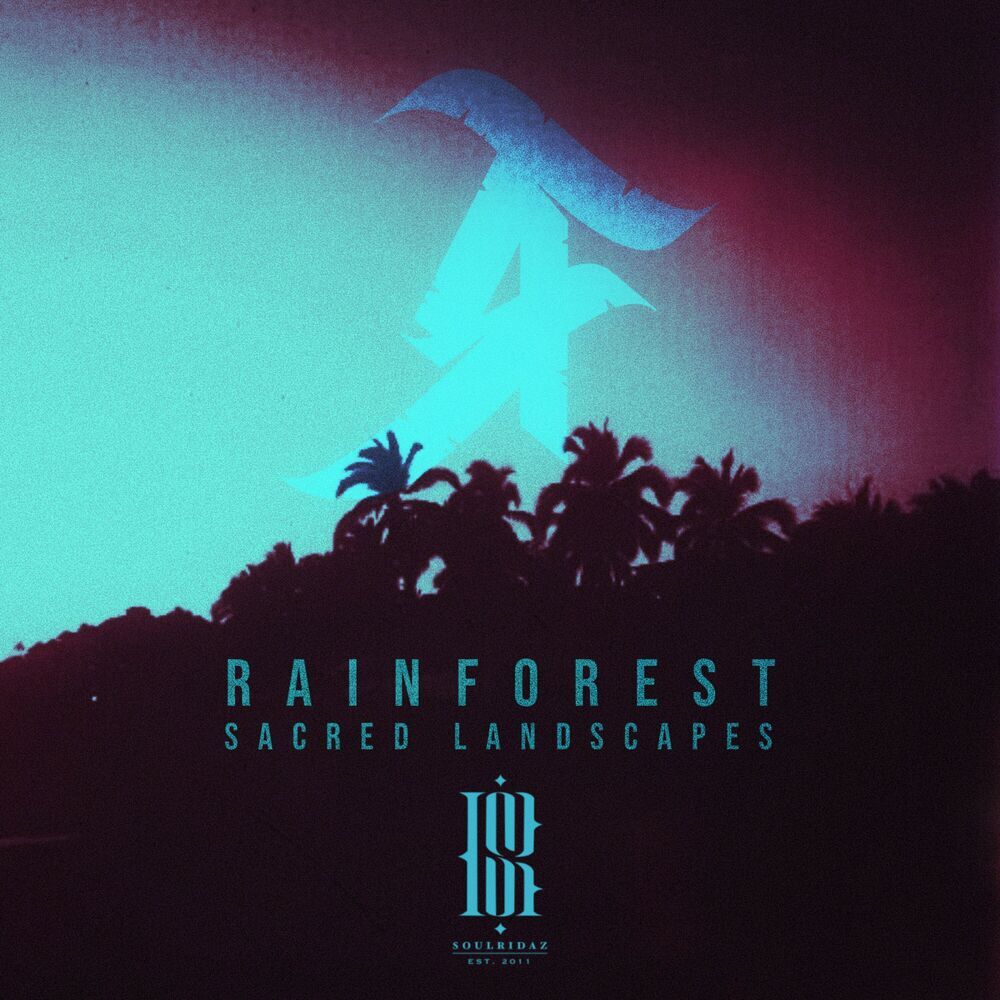 Picture of Rainforest