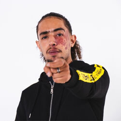 Picture of Badjer