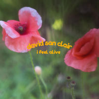 David San Clair