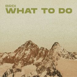 Picture of BRDI