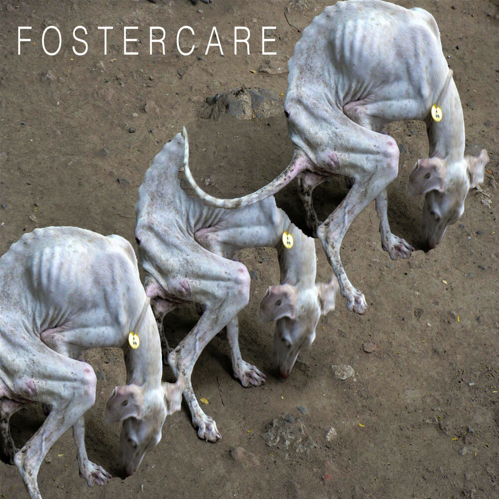 Picture of Fostercare