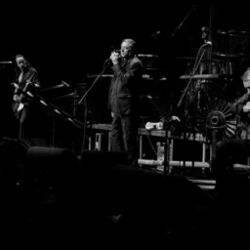 Picture of Einstürzende Neubauten