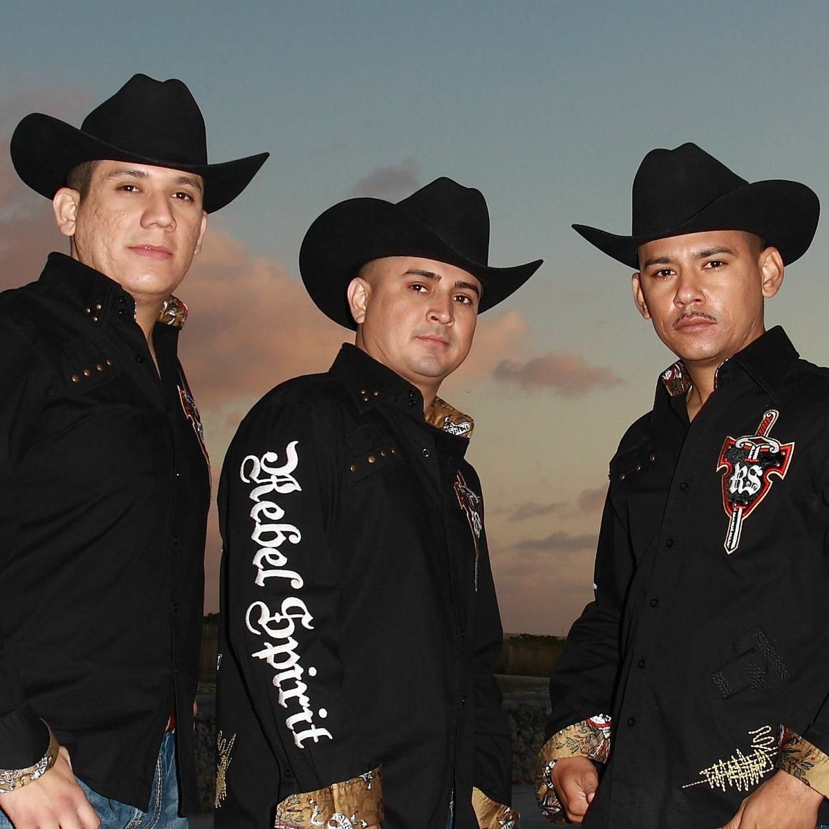 Los Buitres De Culiacán