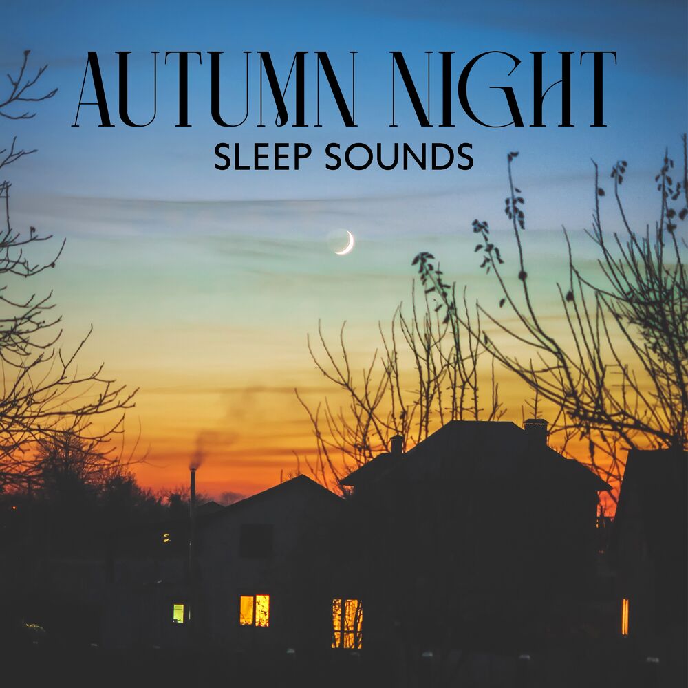 Picture of Best Sleep Music Academy