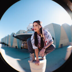 Picture of ALLEYCVT