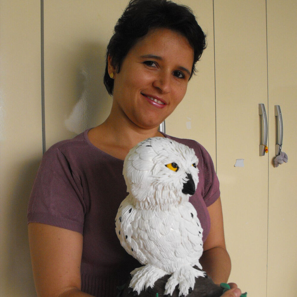 Picture of Tahta Menezes