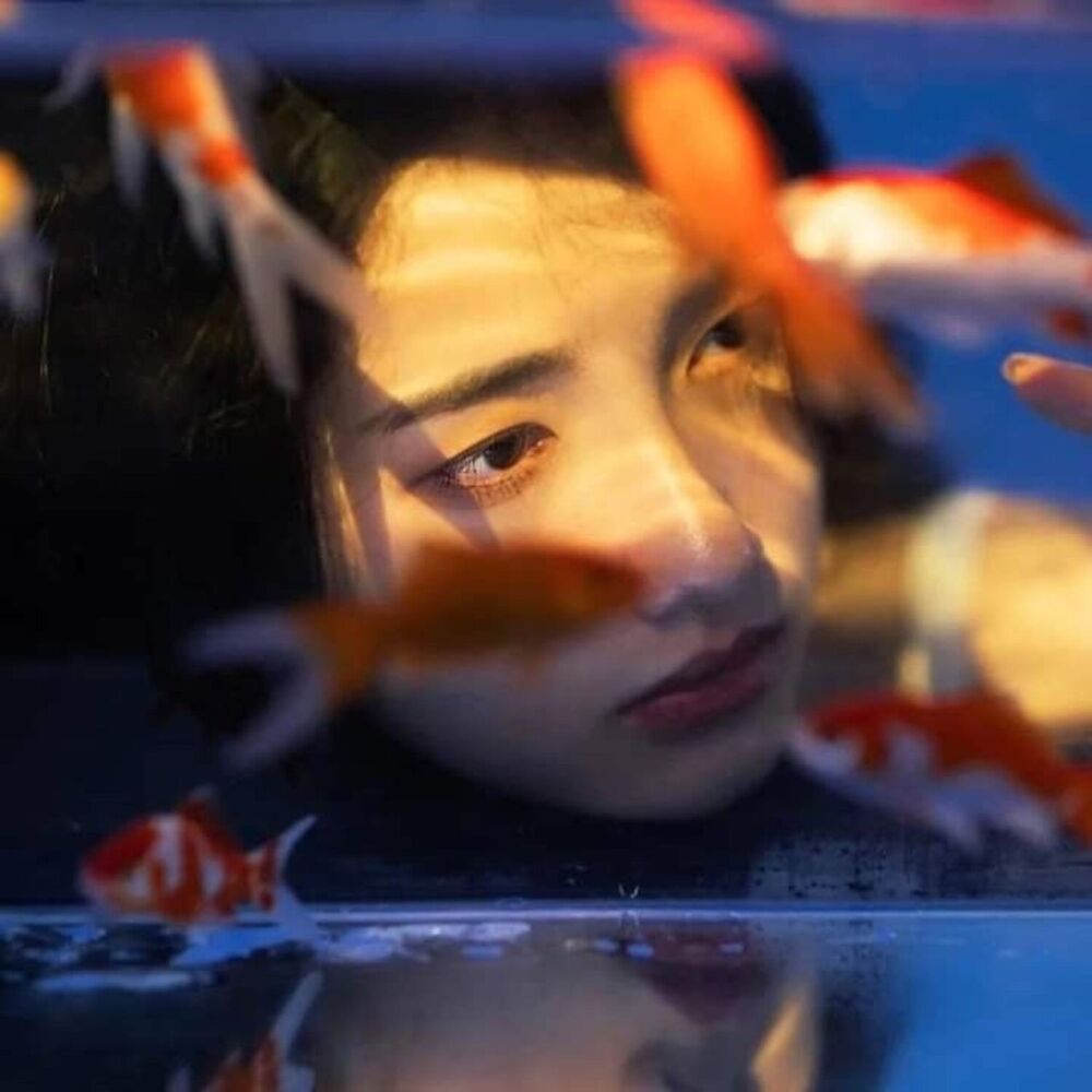 Picture of Cát Đông Kỳ