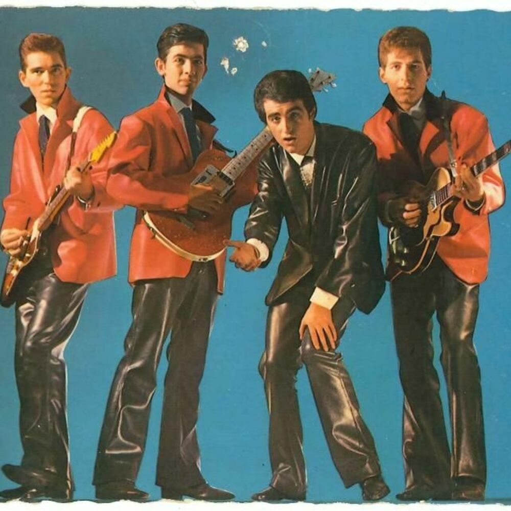 Picture of Les Chats Sauvages