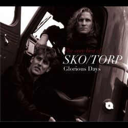 Picture of Sko/torp