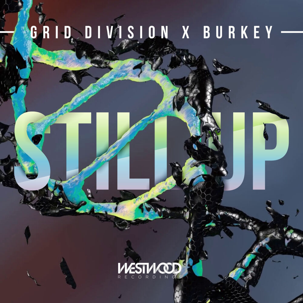 Picture of Grid Division & Burkey