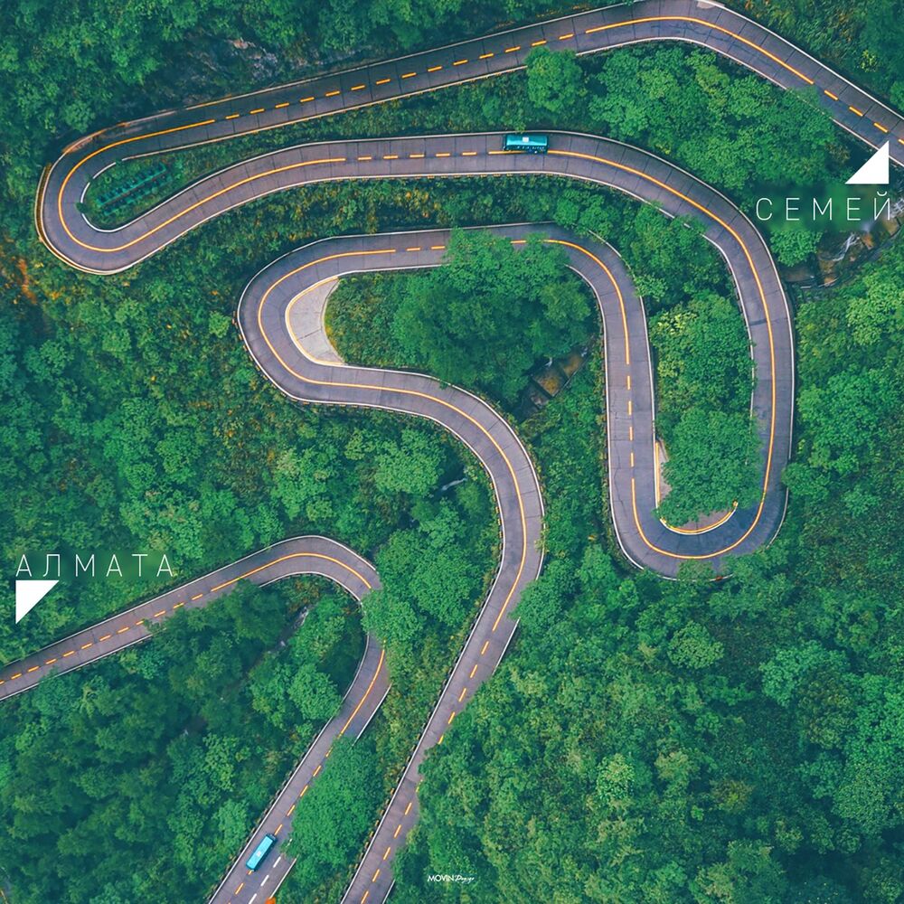 Picture of Bonapart