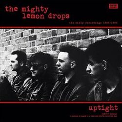 Picture of The Mighty Lemon Drops