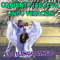 Picture of Conjunto Jarocho Lindo Veracruz