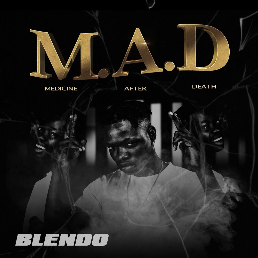 Picture of Blendo