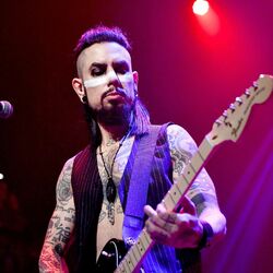 Picture of Dave Navarro