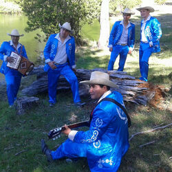 Picture of Los Rancheros de Plata