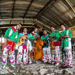 Picture of Huichol Musical