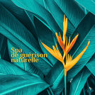 Collection de Musique Naturelle