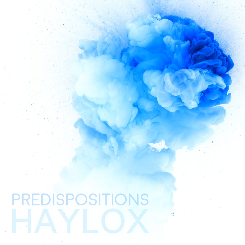 Picture of Haylox