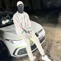 V2 Almz