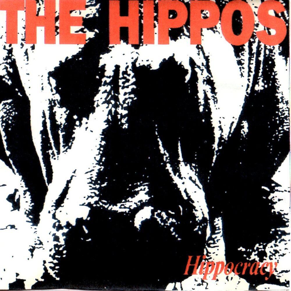 Picture of The Hippos