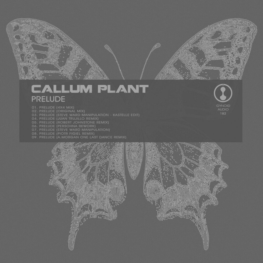 Picture of Callum Plant