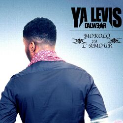 Picture of YA Levis Dalwear