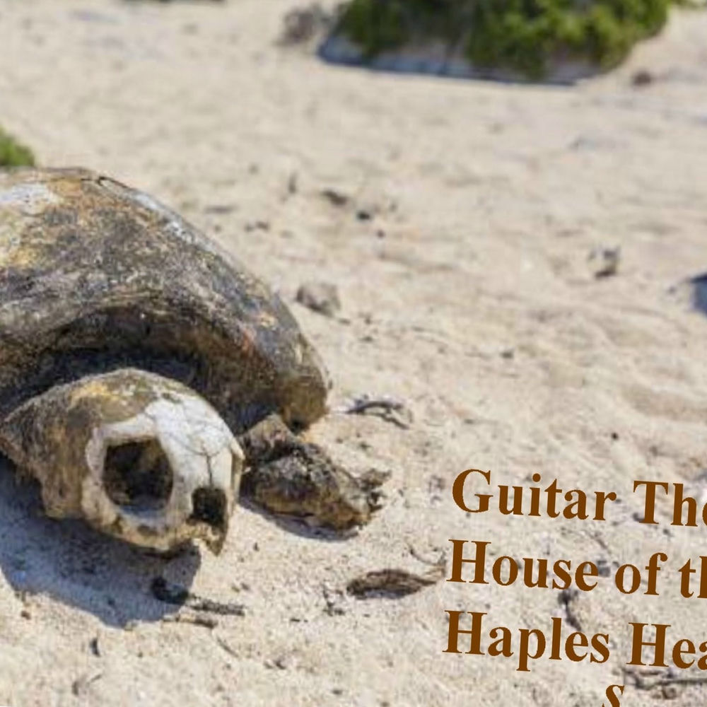 Photo de l'artiste Guitar Michael Lückner