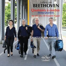 Picture of Le Quatuor Rosamonde