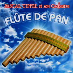 Picture of Pascal Tippel & Son Orchestre