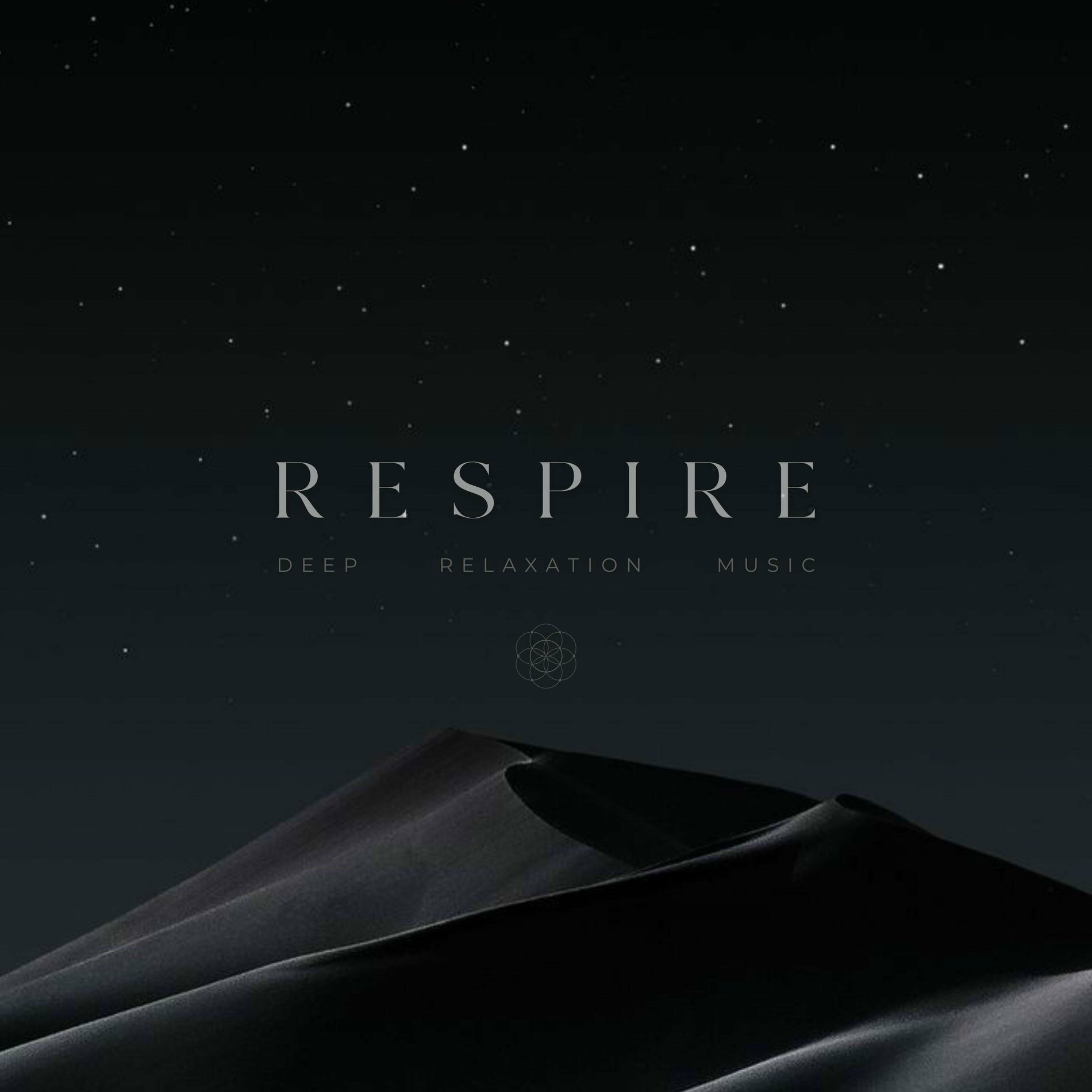 Artist picture of RESPIRE MUSIC