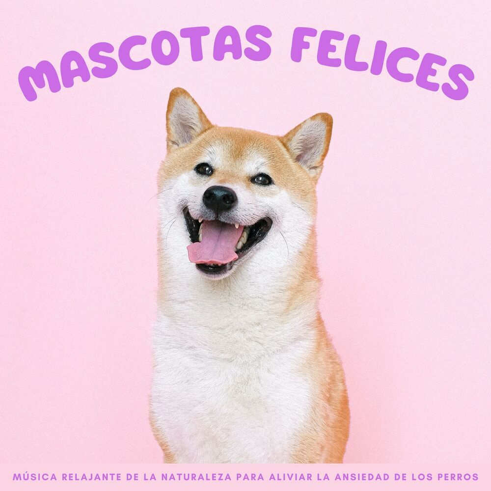 Picture of Mascotas