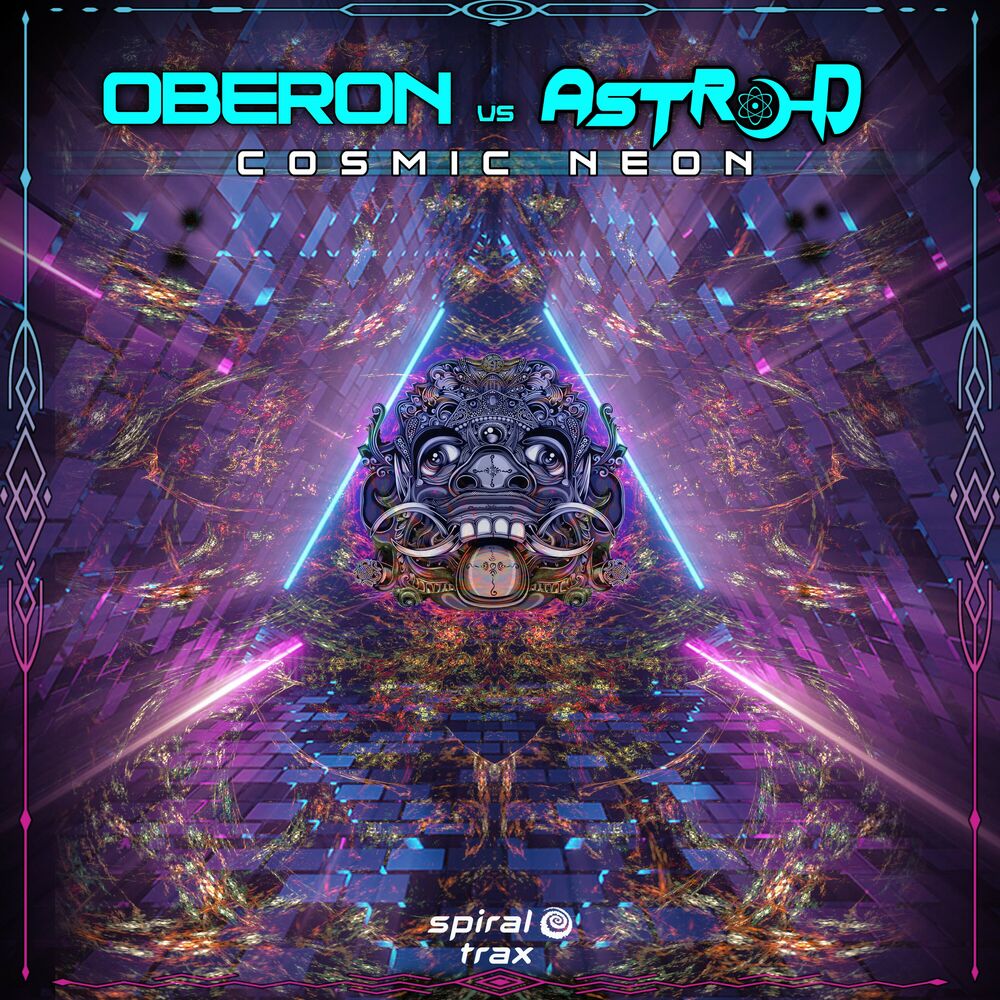Picture of Astro-D
