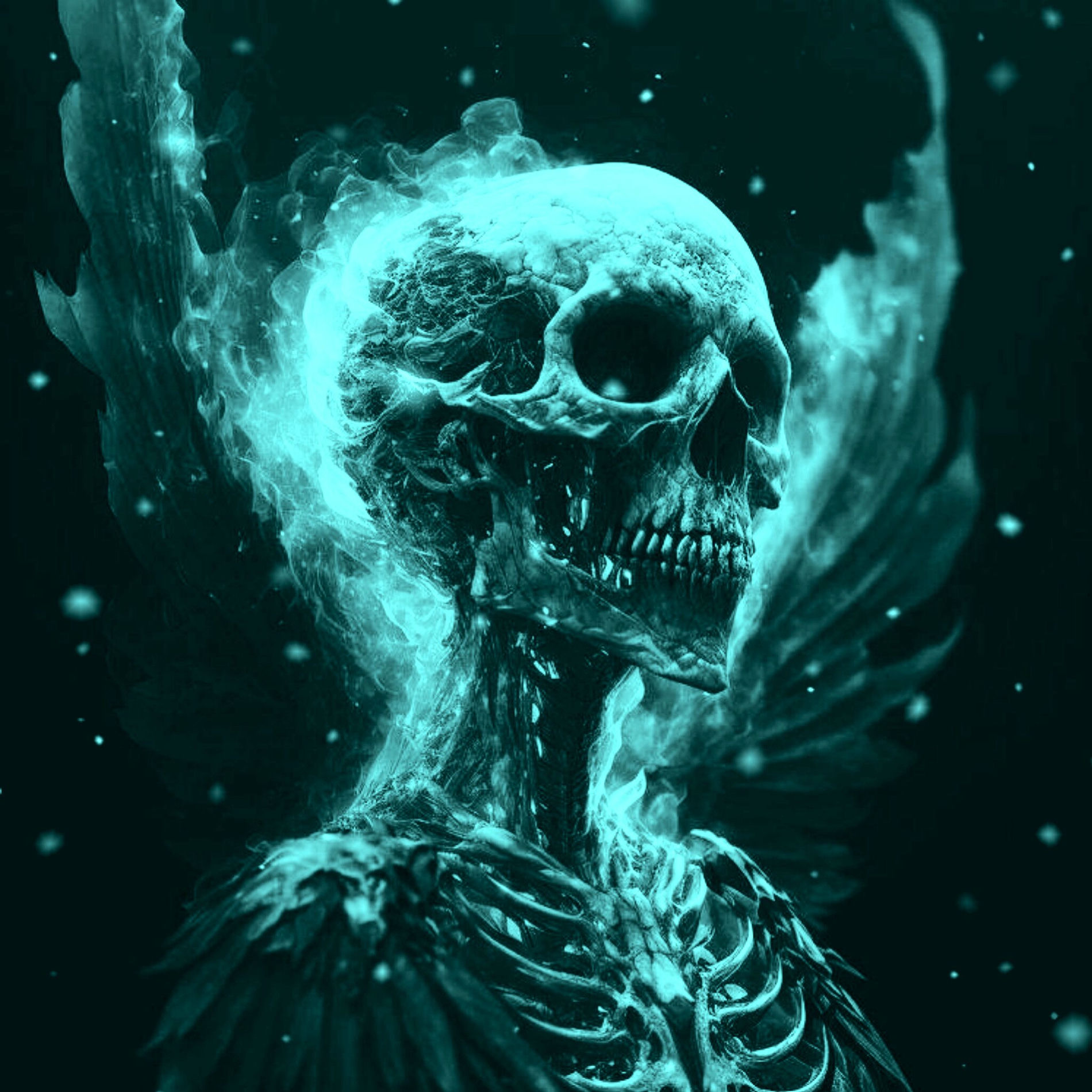 Artist picture of shometyle