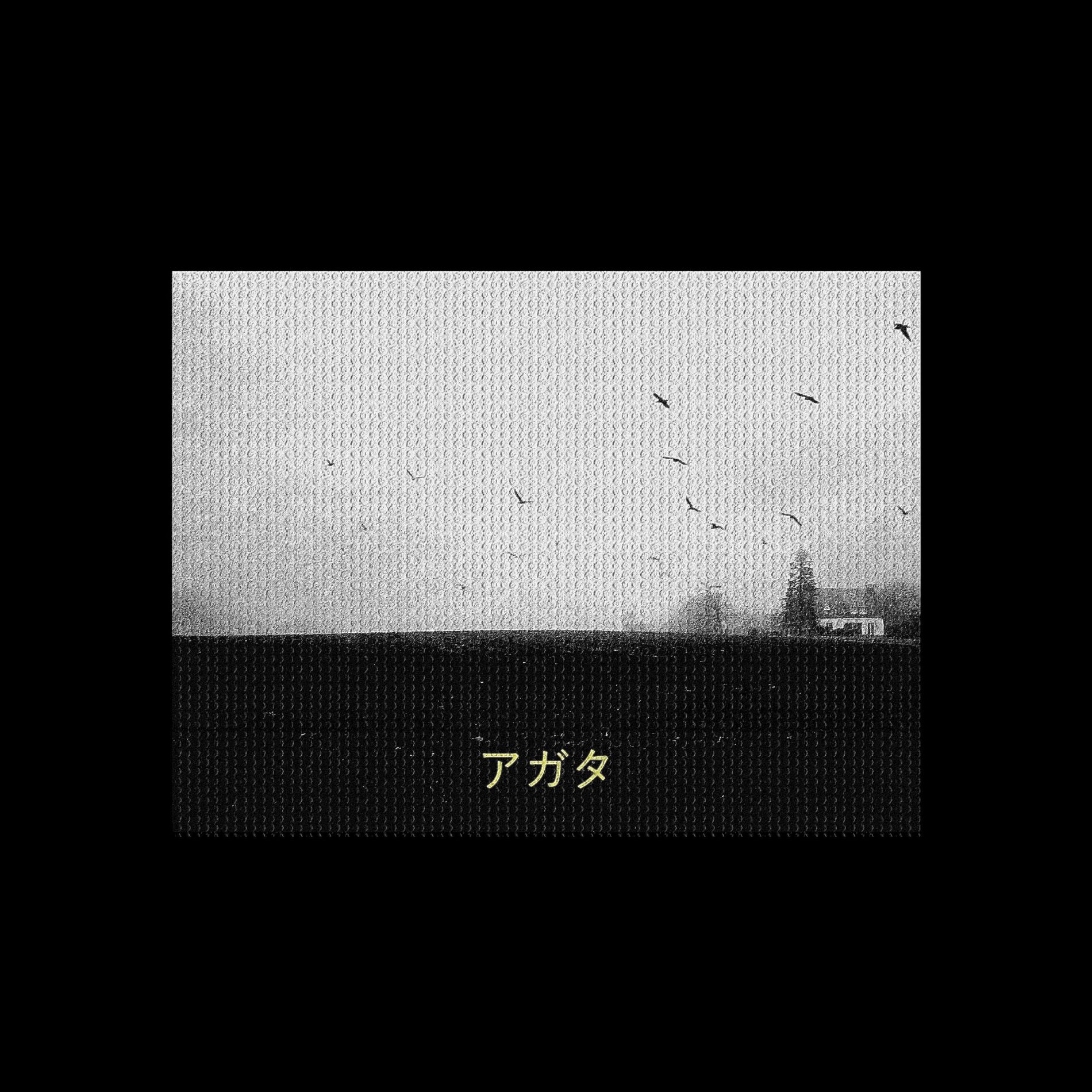 323madon