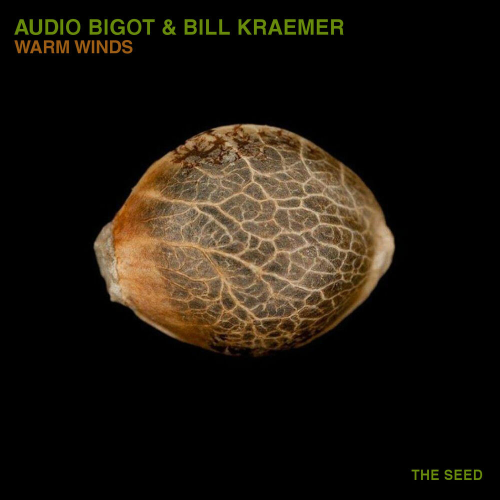 Picture of Audio Bigot